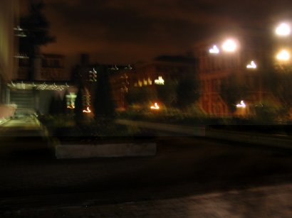 trees at night