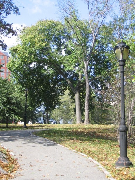 Central Park